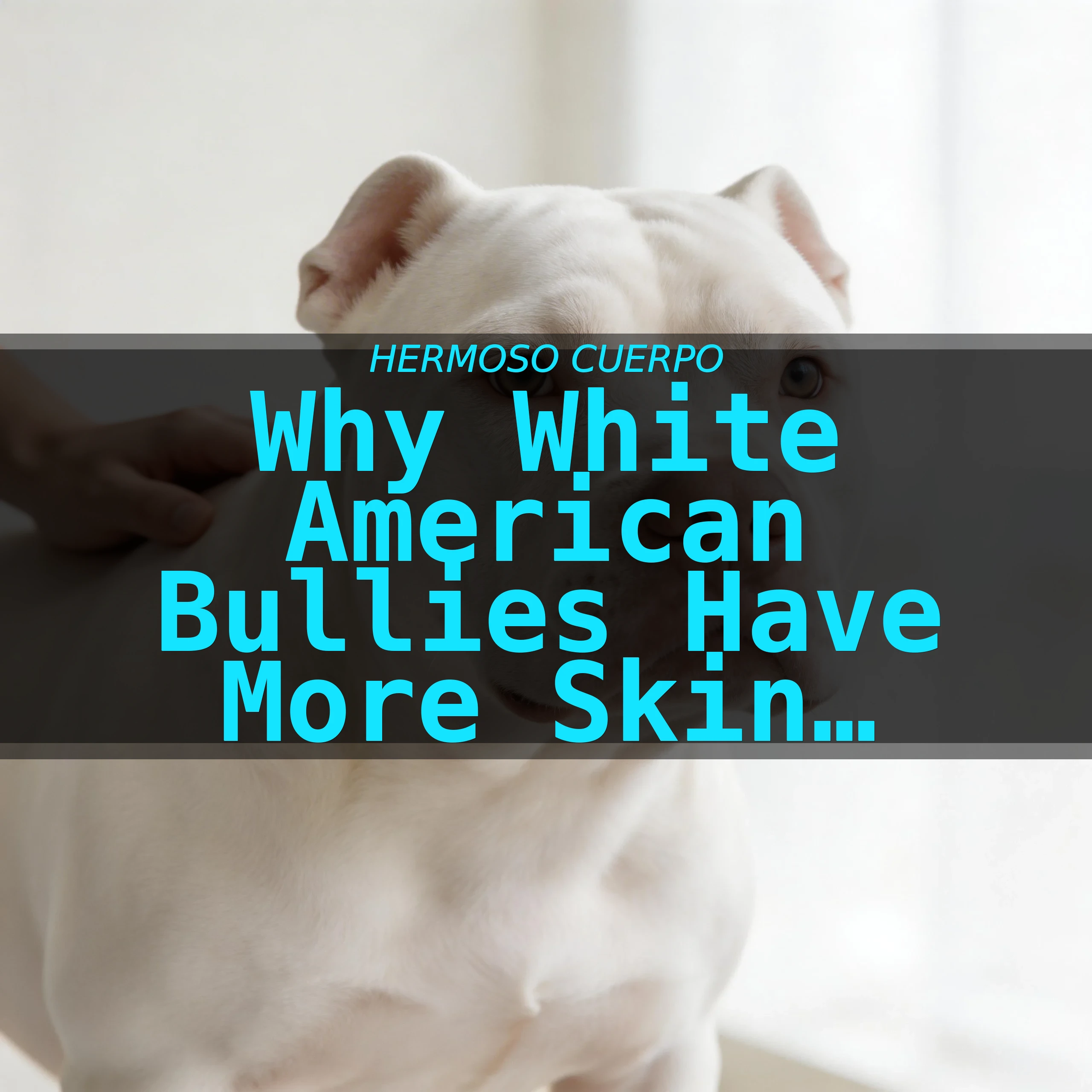 Why White American Bullies Have More Skin Problems | Guide